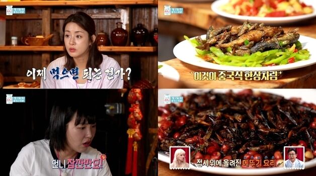 강소라, 메뚜기 튀김 등장에 "단백질 맛있겠다" 겁없는 먹방