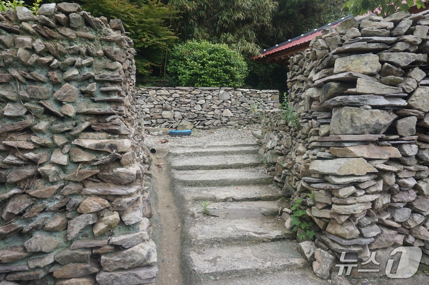 본문 이미지 - 성벽같은 죽항도 돌담울타리. 2025.7.11/뉴스1 ⓒ News1 조영석 기자 