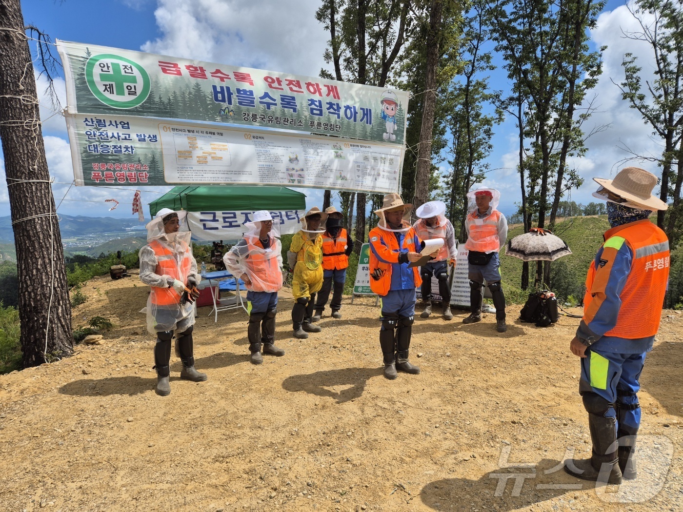(강릉=뉴스1) 윤왕근 기자 = 강원 강릉국유림산리소 소속 푸른영림단 산림 근로자들이 11일 강릉시 옥계면 남양리 일대 국유림에서 업무 시작 전 폭염 대응 회의를 하고 있다. 이 …