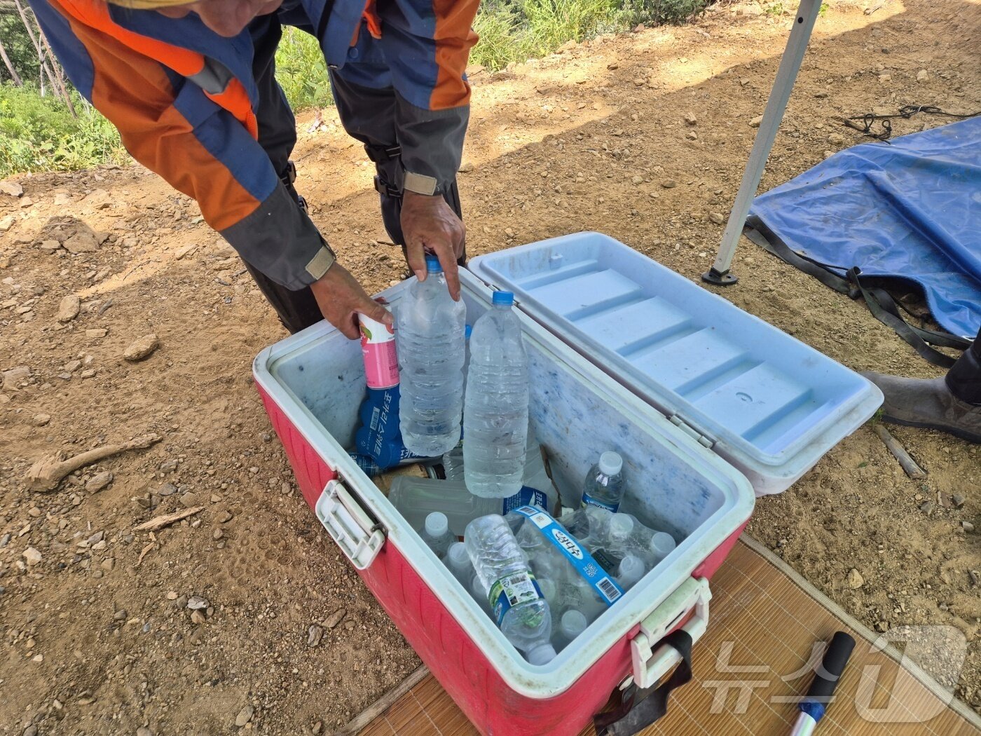 본문 이미지 - 강원 강릉국유림관리소 소속 푸른영림단 산림 근로자들과 취재기자가 11일 강릉시 옥계면 남양리 일대 국유림에서 풀베기 작업을 하고 있다. 이 곳은 지난 2022년 3월 강원 동해안을 덮친 대형산불 피해지 이기도 하다. 2025.7.11/뉴스1 ⓒ News1 윤왕근 기자