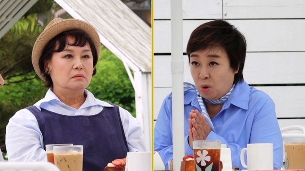 '같이 삽시다' 박원숙, 혜은이와 갈등에 오열 "그만둬야겠다"