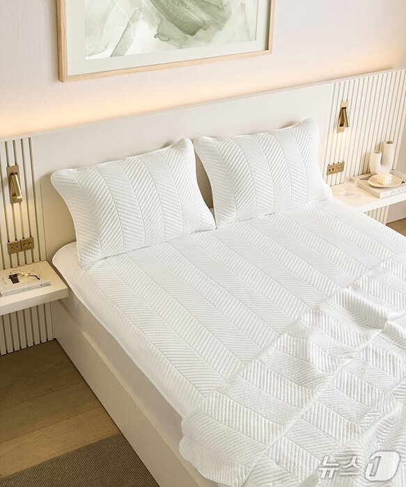 본문 이미지 - 신세계까사 까사미아 &#39;아이스&#39; 냉감 기능성 패브릭 시리즈&#40;신세계까사 제공&#41;