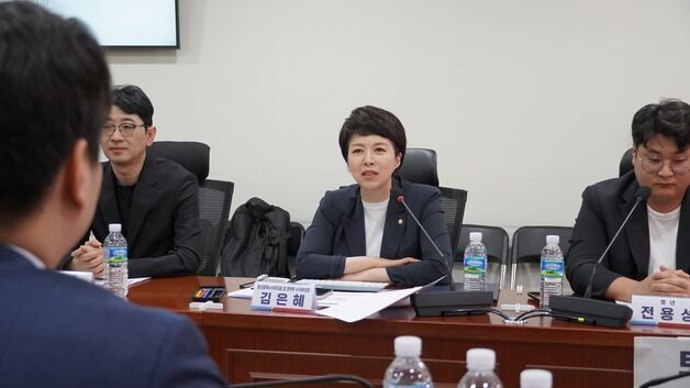 "청년은 규제, 외국인은 5채"…김은혜, 역차별 금지법 추진