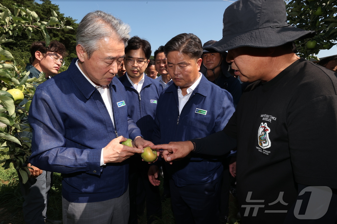 (서울=뉴스1) = 강호동 농협중앙회장이 11일 경북 문경 지역 사과 농가를 찾아 폭염으로 인한 일소(햇볕데임) 피해상황을 점검하고 있다. (농협 제공, 재판매 및 DB금지) 20 …