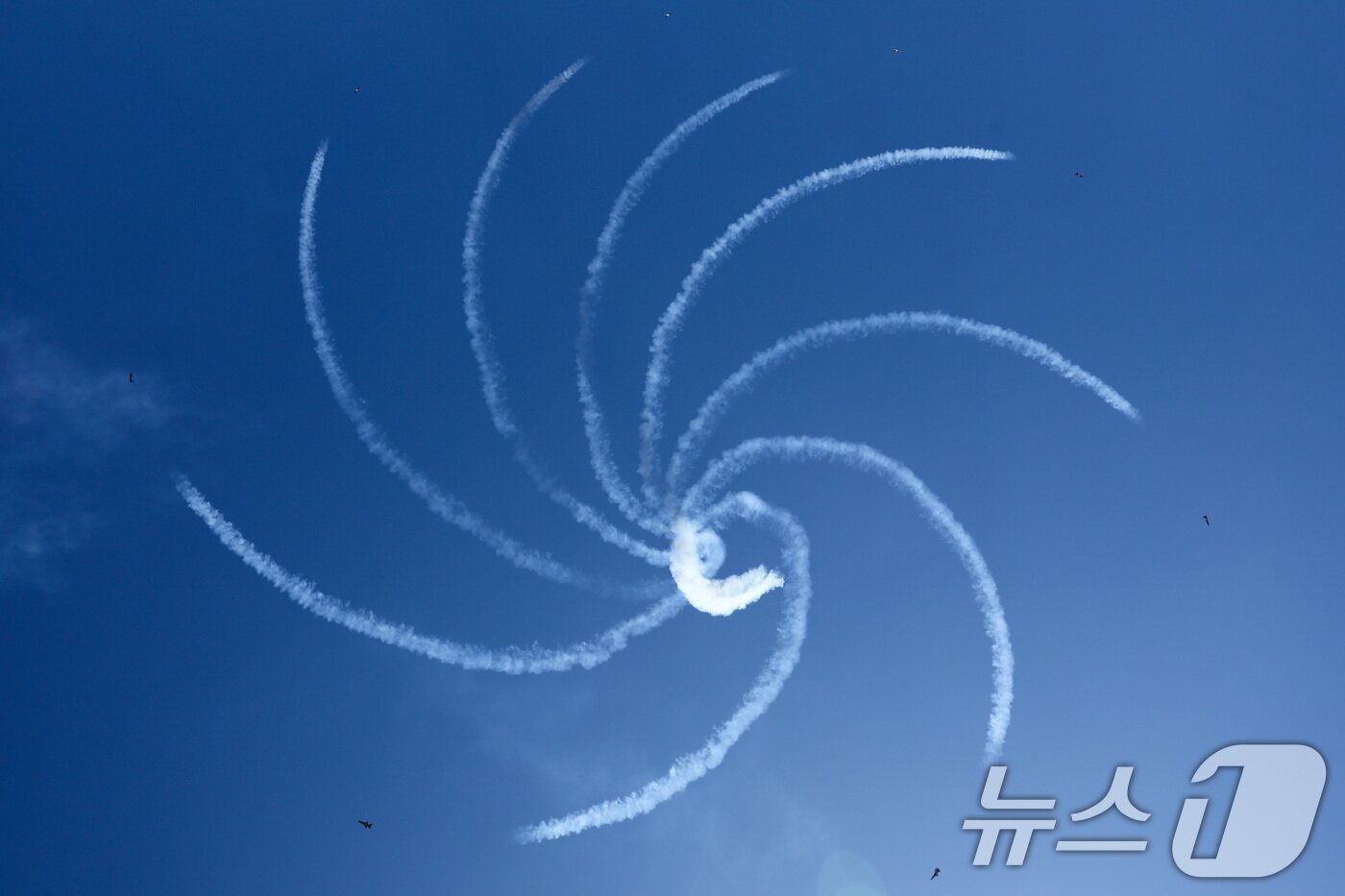 본문 이미지 - 12일 오전 서울 반포한강공원 일대에서 공군 특수비행팀 블랙이글스가 제1회 방위산업의 날 계기 시민 참여 페스티벌을 기념해 에어쇼를 펼치고 있다. 2025.7.12/뉴스1 ⓒ News1 신웅수 기자