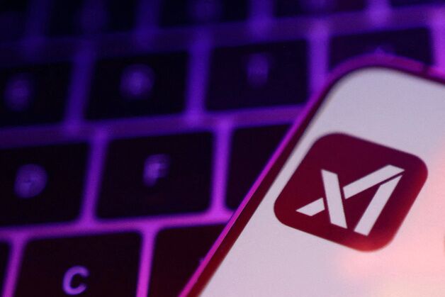 xAI, 기업가지 200조 자금 조달 계획…머스크 "자금 충분해"