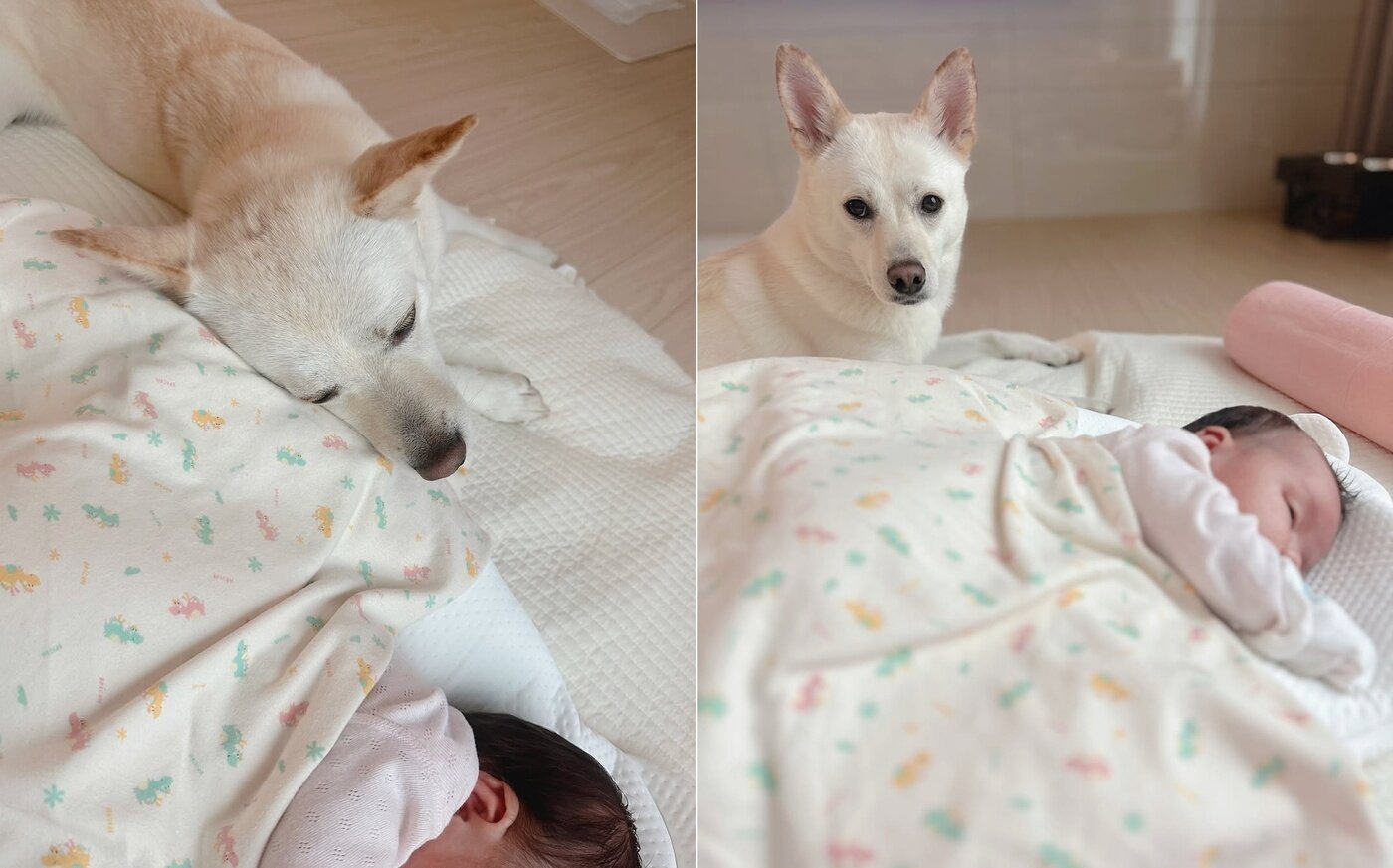 본문 이미지 - 동생 곁을 지키는 산타&#40;인스타그램 san.____.ta 제공&#41; ⓒ 뉴스1