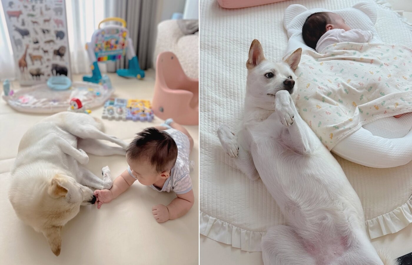 본문 이미지 - 동생 곁을 지키는 산타&#40;인스타그램 san.____.ta 제공&#41; ⓒ 뉴스1