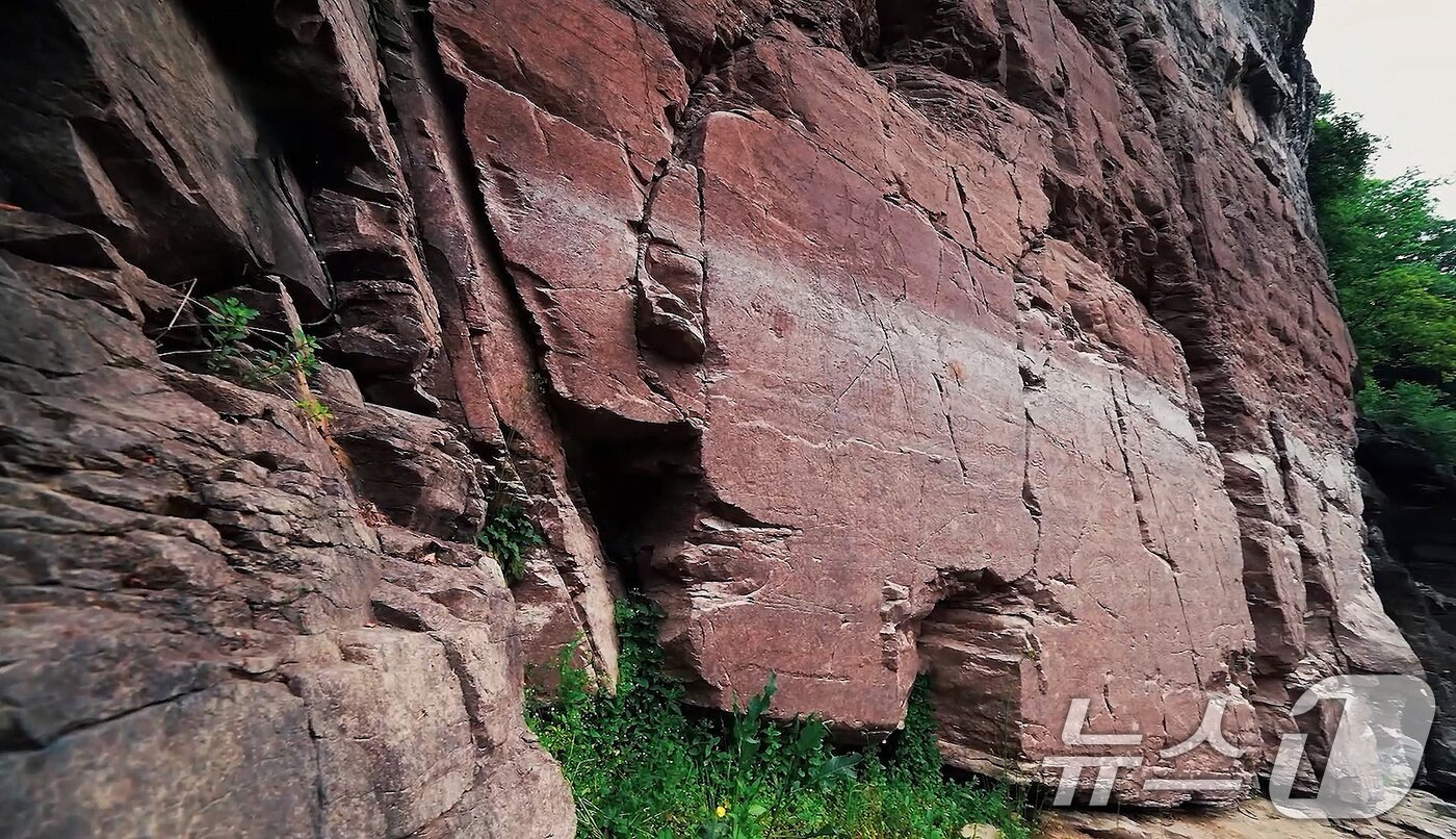 본문 이미지 - 12일&#40;한국시간&#41; 제47차 유네스코 세계유산위원회에서 선사시대 생활문화를 엿볼 수 있는 바위그림인 &#39;반구천의 암각화&#39;를 세계유산 목록에 등재하기로 결정했다. 사진은 울주 대곡리 반구대 암각화의 모습. &#40;국가유산청 제공. 재판매 및 DB금지&#41; 2025.7.12/뉴스1