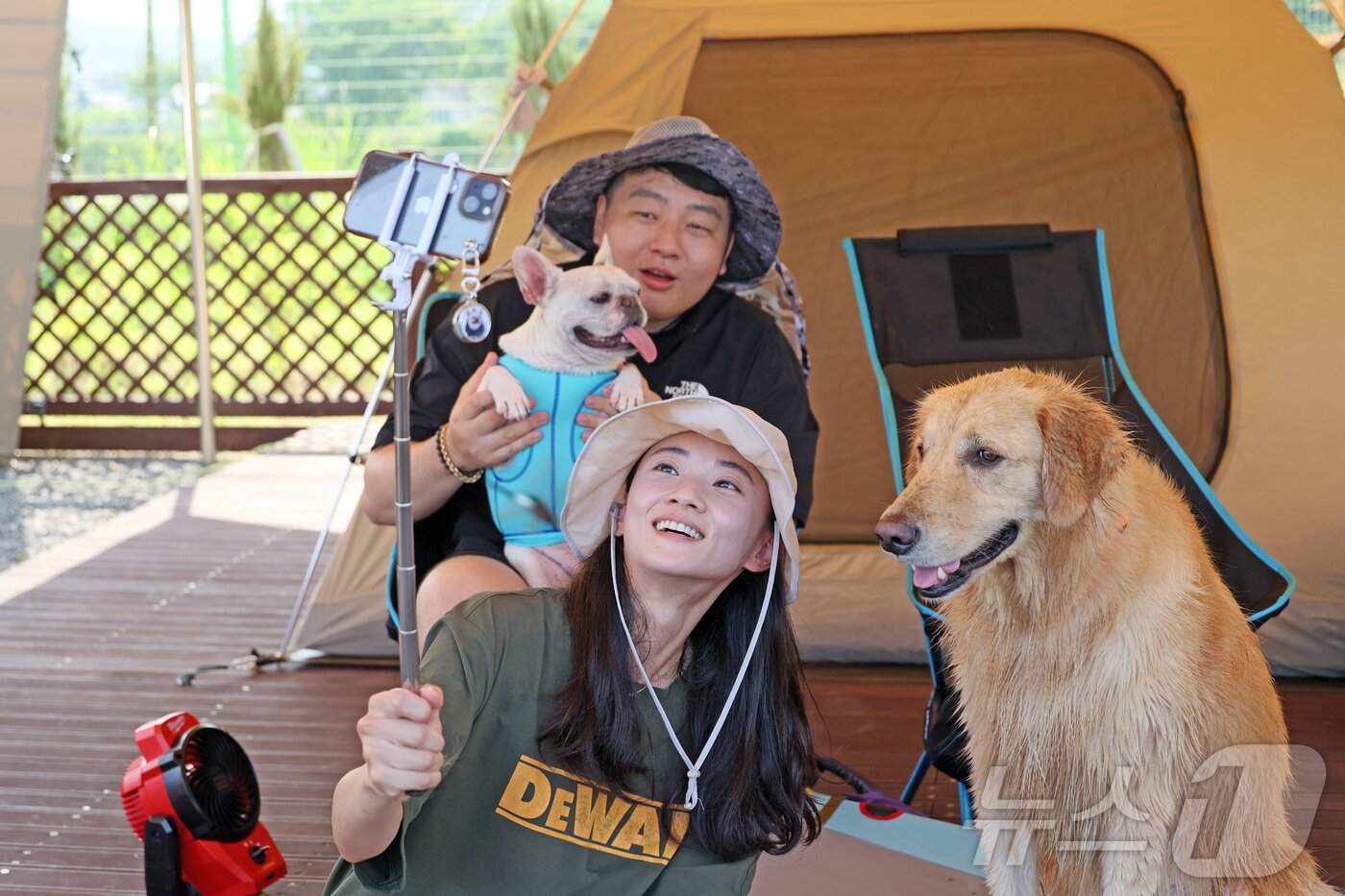 본문 이미지 - 전북 임실군 오수면 ‘오수의견국민여가캠핑장’을 찾은 내방객들이 반려견과 캠핑을 하고 있다..(임실군제공. 재판매 및 DB금지)2025.7.13/뉴스1 