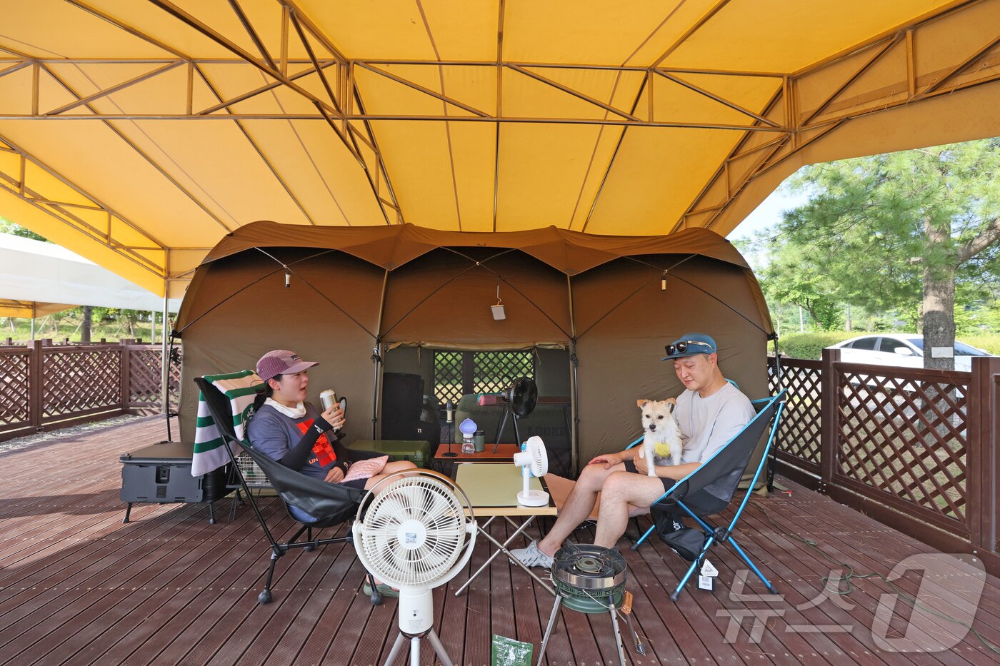 본문 이미지 - 전북 임실군에 개장한 '오수의견국민여가캠핑장'에 반려견과 주인이 함께 햇밫을 피해 휴식을 즐기고 있다.(임실군제공. 재판매 및 DB금지)2025.7.13/뉴스1 