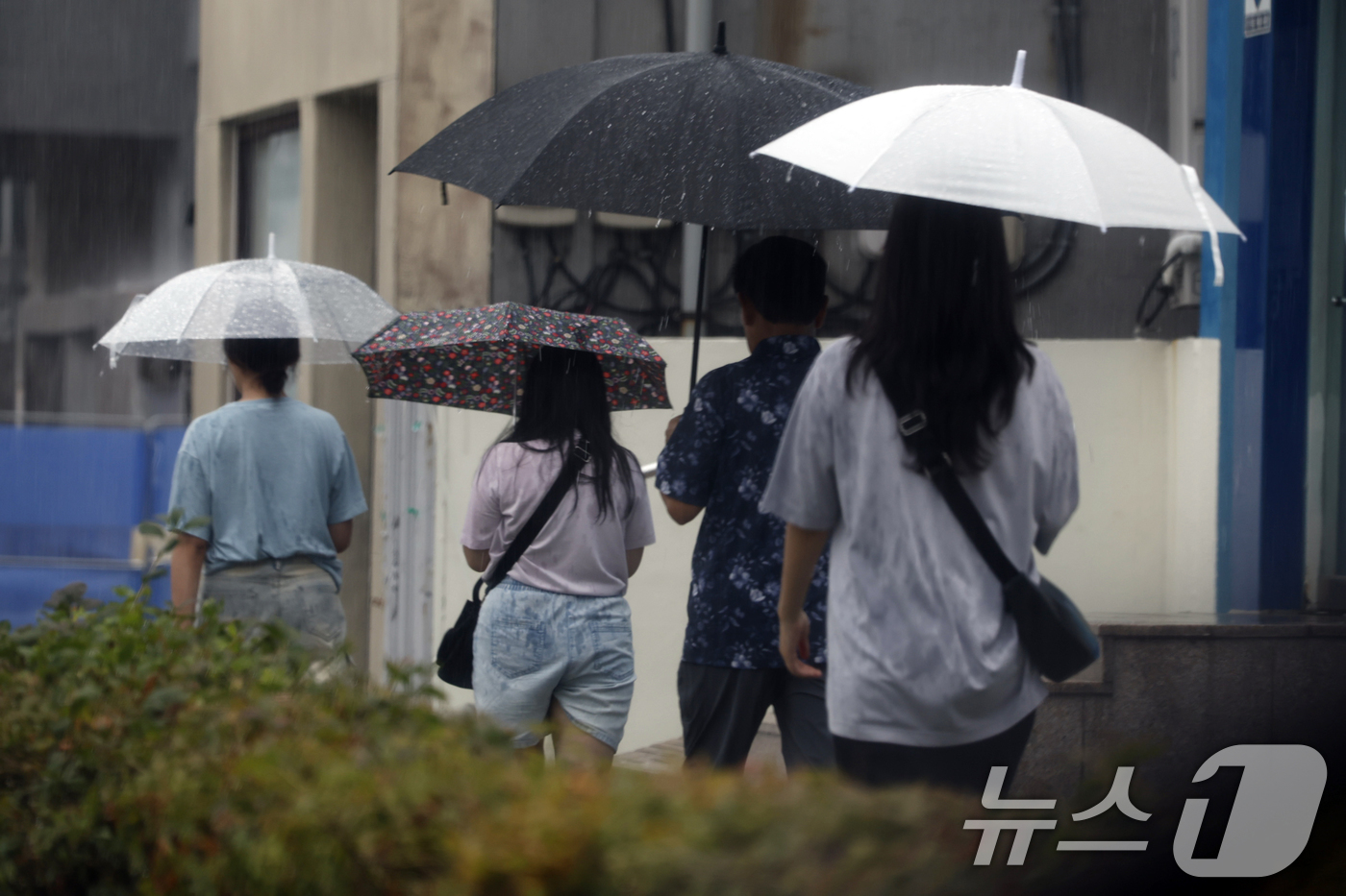 (광주=뉴스1) 김태성 기자 = 13일 광주전남 일부지역에 호우주의보가 발효된 가운데 동구 아시아문화전당 옆길에 시민들이 우산을 쓰며 걸어가고 있다.  2025.7.13/뉴스1