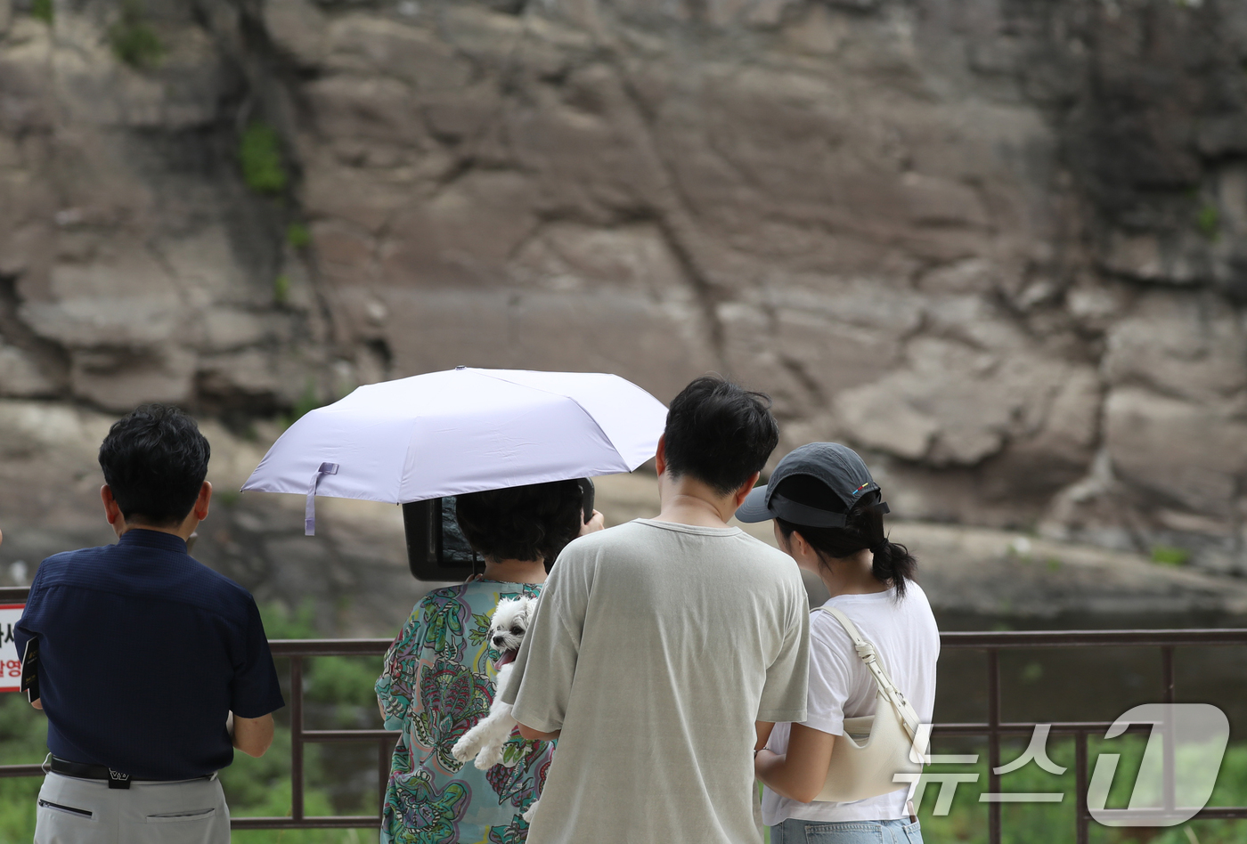 (울산=뉴스1) 조민주 기자 = 유네스코 세계문화 유산 등재가 확정된 울산 울주군 대곡리 반구대 암각화에서 13일 시민들이 망원경으로 암각화를 보고 있다. 2025.7.13/뉴스1 …