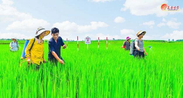 벌써 '가을걷이 준비' 다그치는 北…하반기 '농업' 성과 독촉