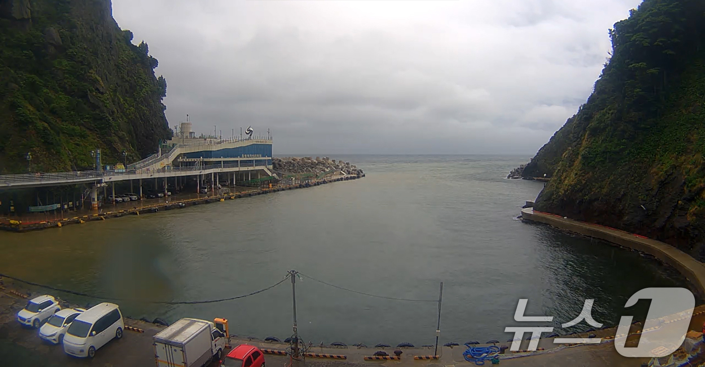 (울릉=뉴스1) 최창호 기자 = 14일 오전 호우경보가  발령 중인 경북 울릉군 전역에 산사태 경보가 발령 중인 가운데 도동항 주변이 흙탕물로 변해있다. (울릉군실시간방송화면갈무리 …