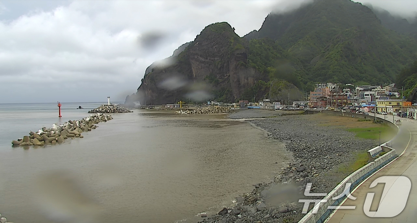 (울릉=뉴스1) 최창호 기자 = 14일 오전 호우경보가  발령 중인 경북 울릉군 전역에 산사태 경보가 발령 중인 가운데 남양리 주변이 흙탕물로 변해있다. (울릉군실시간방송화면갈무리 …