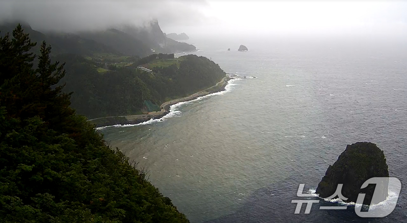 (울릉=뉴스1) 최창호 기자 = 14일 오전 호우경보가  발령 중인 경북 울릉군 전역에 산사태 경보가 발령 중인 가운데 삭포리 주변이 흙탕물로 변해있다. (울릉군실시간방송화면갈무리 …