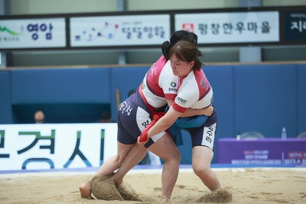 영동군에 내달 1~7일 전국 모래판 남녀 장사들 모인다