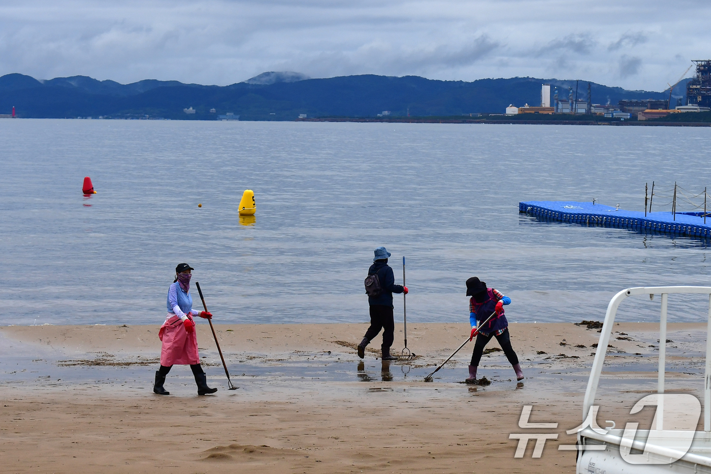 (포항=뉴스1) 최창호 기자 = 14일 오전 경북 포항시 북구 영일대해수욕장에서 공공근로자들이 파도에 밀려나온 쓰레기를 치우고 있다.  2025.7.14/뉴스1
