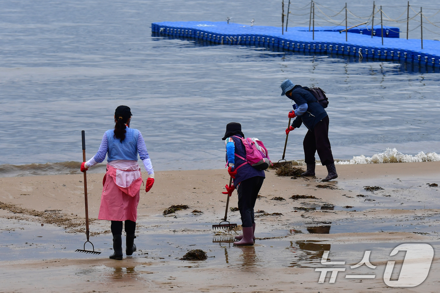 (포항=뉴스1) 최창호 기자 = 14일 오전 경북 포항시 북구 영일대해수욕장에서 공공근로자들이 파도에 밀려나온 쓰레기를 치우고 있다. 2025.7.14/뉴스1