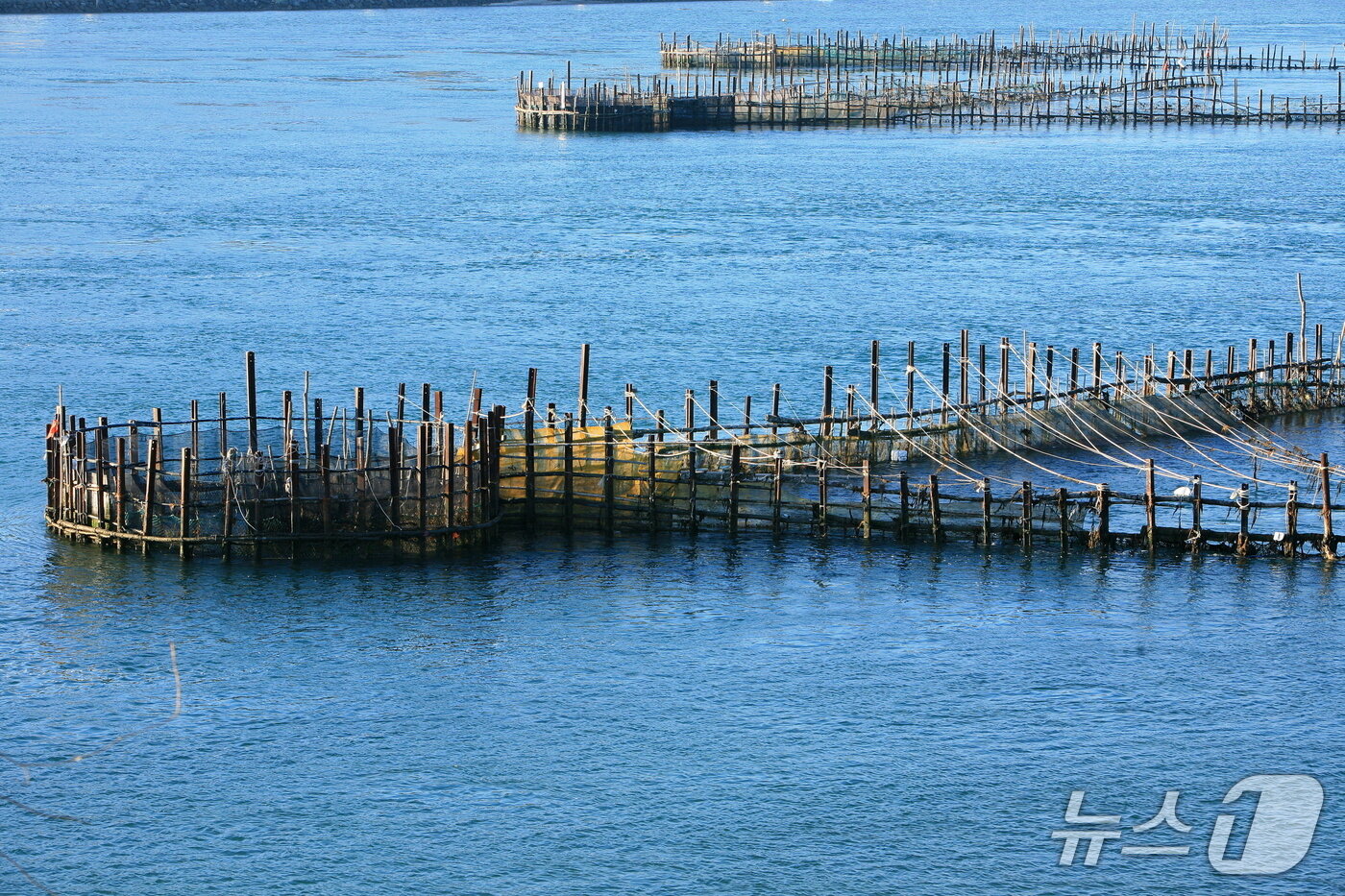 본문 이미지 - 지족죽방렴.(남해군 제공. 재판매 및 DB금지)