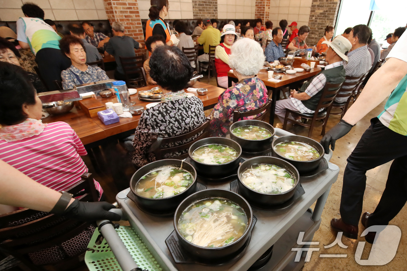(대구=뉴스1) 공정식 기자 = 초복을 앞둔 14일 오전 대구 중구의 한 음식점에서 열린 '초복맞이 영약식 나눔 데이' 행사에서 각 기관 봉사자들이 어르신에게 갈비탕을 전달하고 있 …