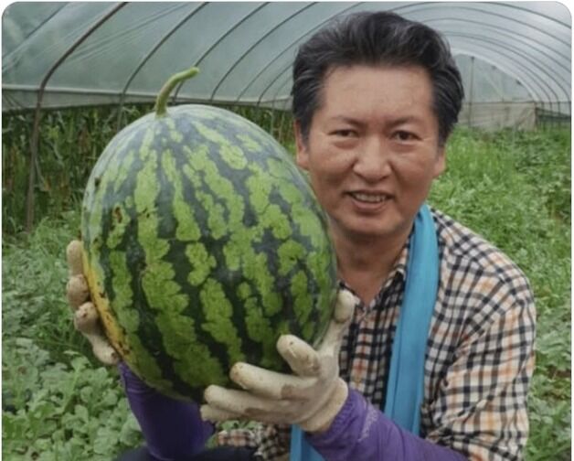 최민희, 왕수박 든 정청래 "짠하다, 격하게 지지"→ 鄭 "감동, 고맙다" 화답