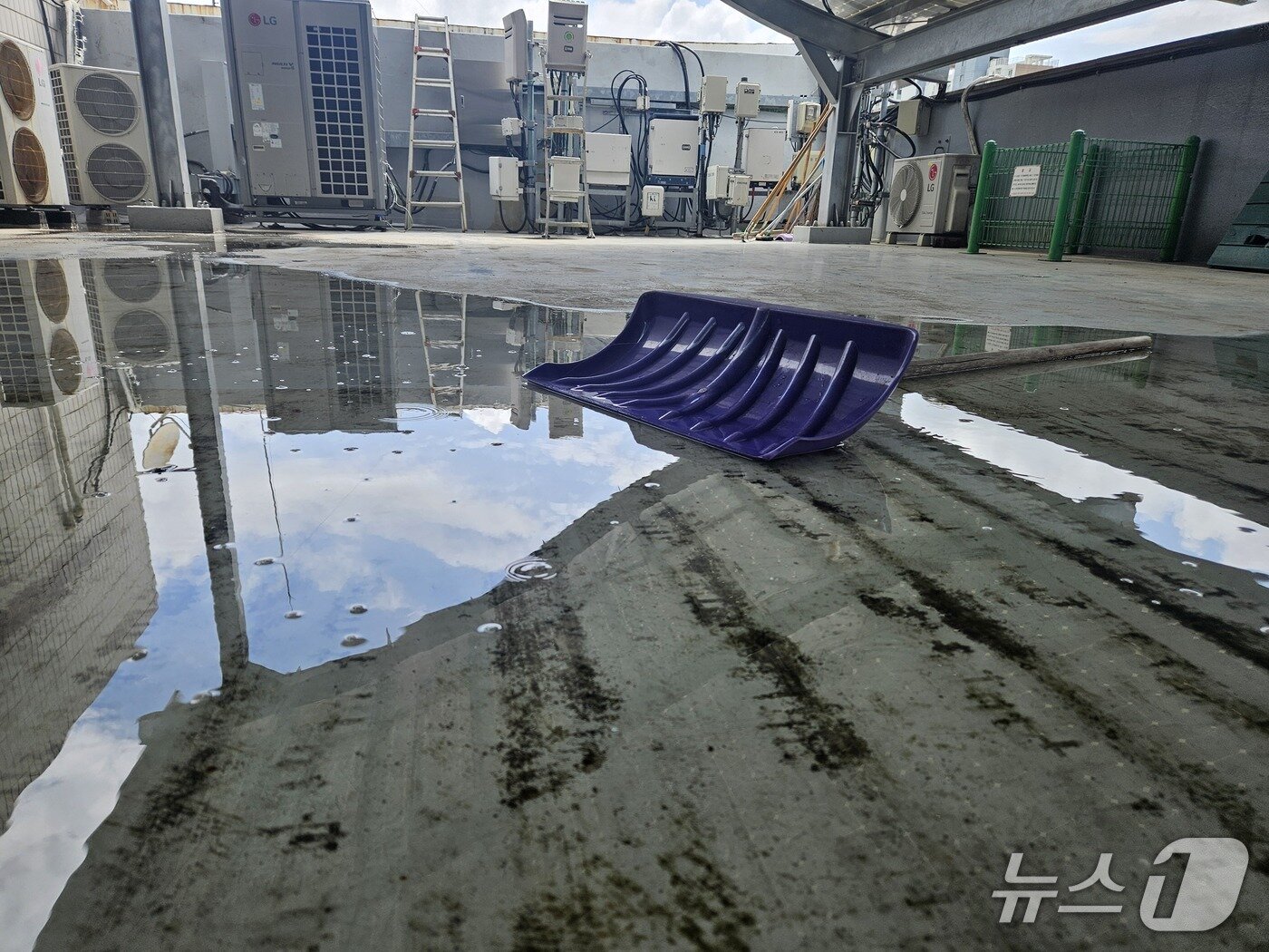 본문 이미지 - 14일 오후 적은 양의 비가 왔는데 빗물이 제천시청사 옥상에 고였다.2025.7.14./뉴스1 ⓒ News1 손도언 기자 