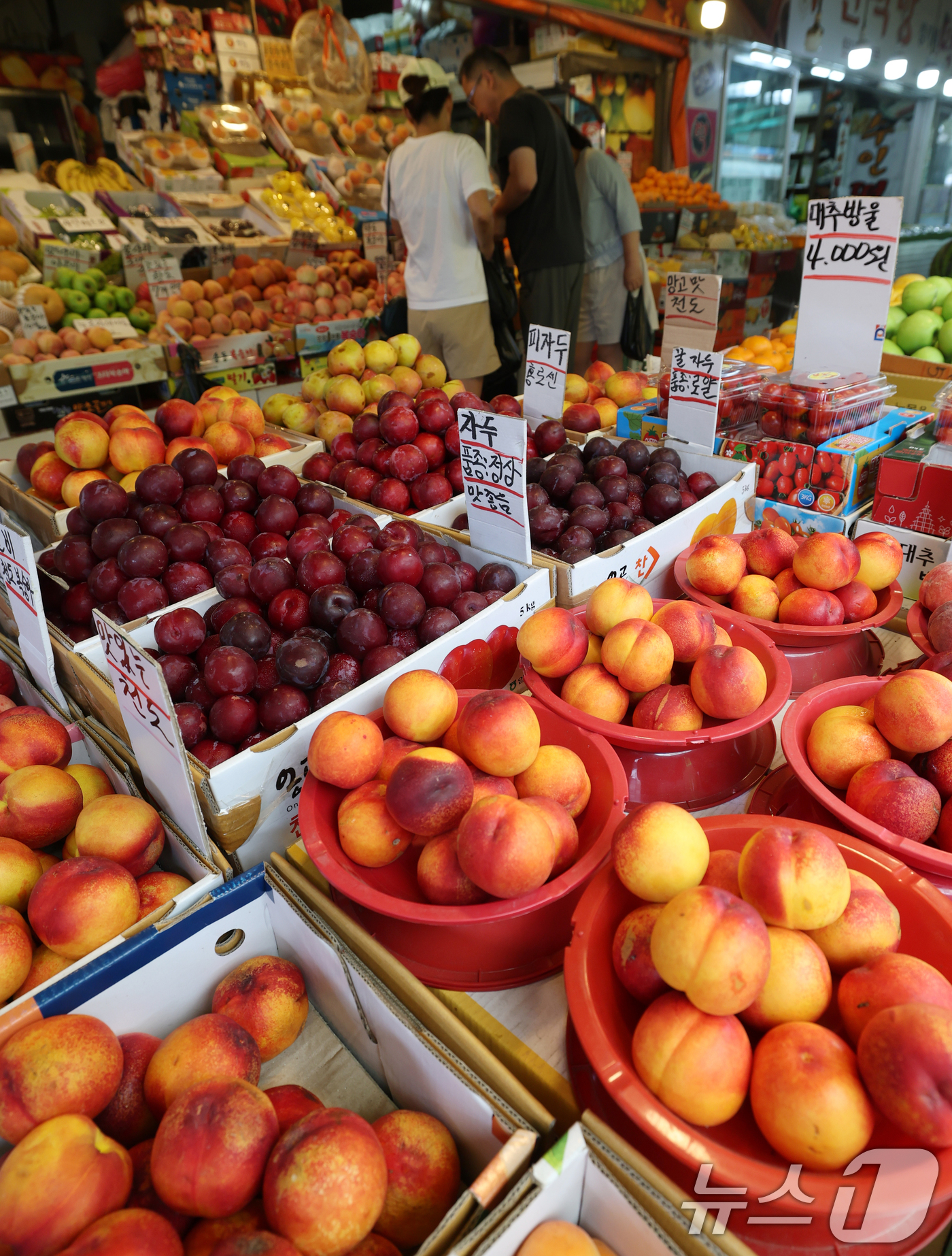 (수원=뉴스1) 김영운 기자 = 역대급 무더위와 이상고온이 작황과 어획량에 영향을 미치며 폭염에 따른 물가 상승을 뜻하는 '히트플레이션(폭염+인플레이션)' 우려가 커지고 있는 가운 …