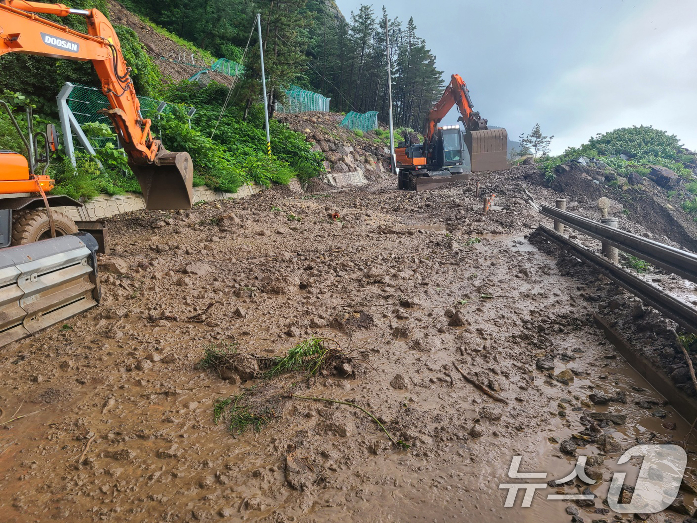 (울릉=뉴스1) 최창호 기자 = 14일 경북 울릉군 현포리 노인봉 도로 구간에서 다량의 낙석과 토사가 흘러내려 교통이 통제되고 있다. (울릉군제공, 제판매 및 DB금자) 2025. …