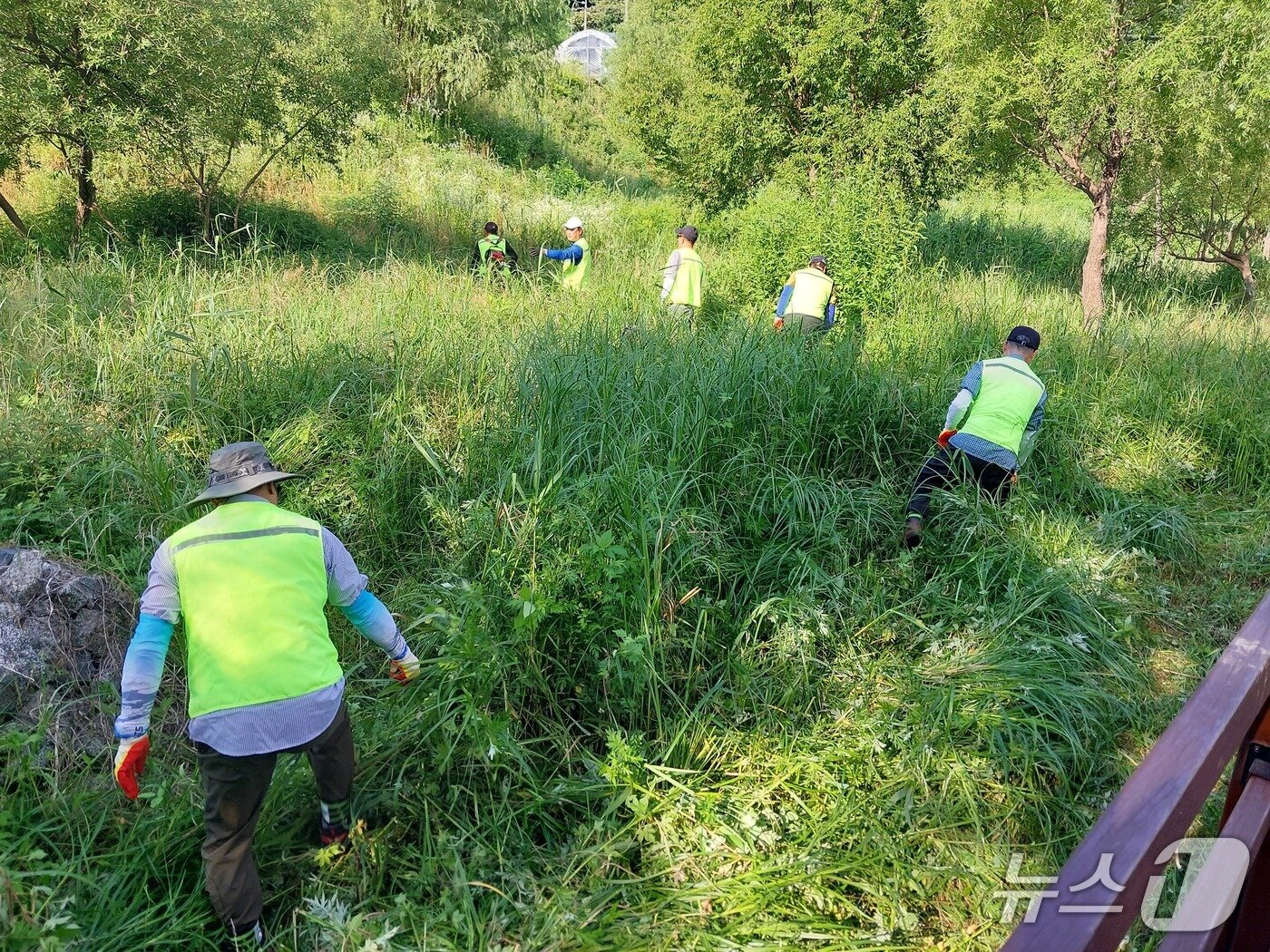 본문 이미지 - 외옹치 소류지 정비사업.(속초시 제공, 재판매 및 DB 금지) 2025.7.14/뉴스1