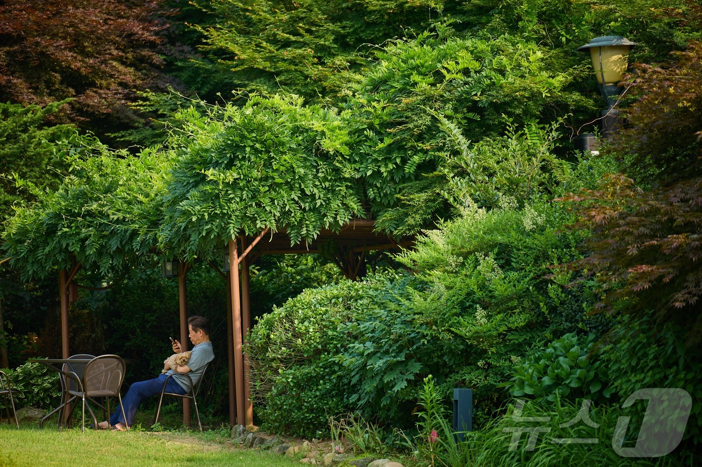 (서울=뉴스1) 이재명 기자 = 대통령실은 14일 이재명 대통령이 서울 한남동 관저에서 반려견 ‘바비’와 함께 있는 모습을 SNS에 공개했다. (이재명 대통령 SNS. 재판매 및 …