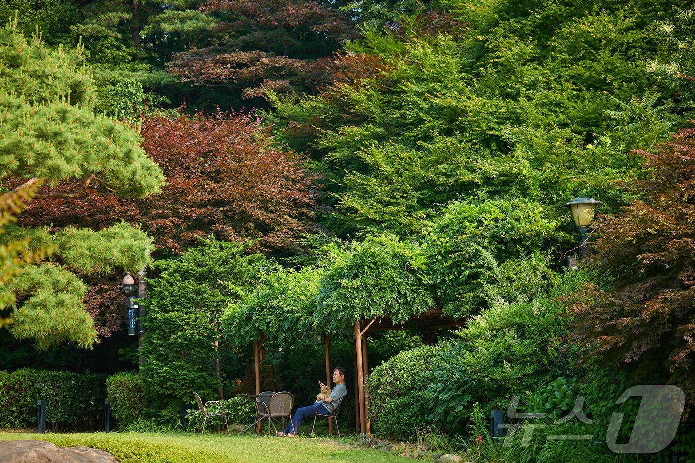 (서울=뉴스1) 이재명 기자 = 대통령실은 14일 이재명 대통령이 서울 한남동 관저에서 반려견 ‘바비’와 함께 있는 모습을 SNS에 공개했다. (이재명 대통령 SNS. 재판매 및 …