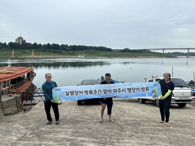 파주시, 임진강에 뱀장어 치어 2만 마리 방류