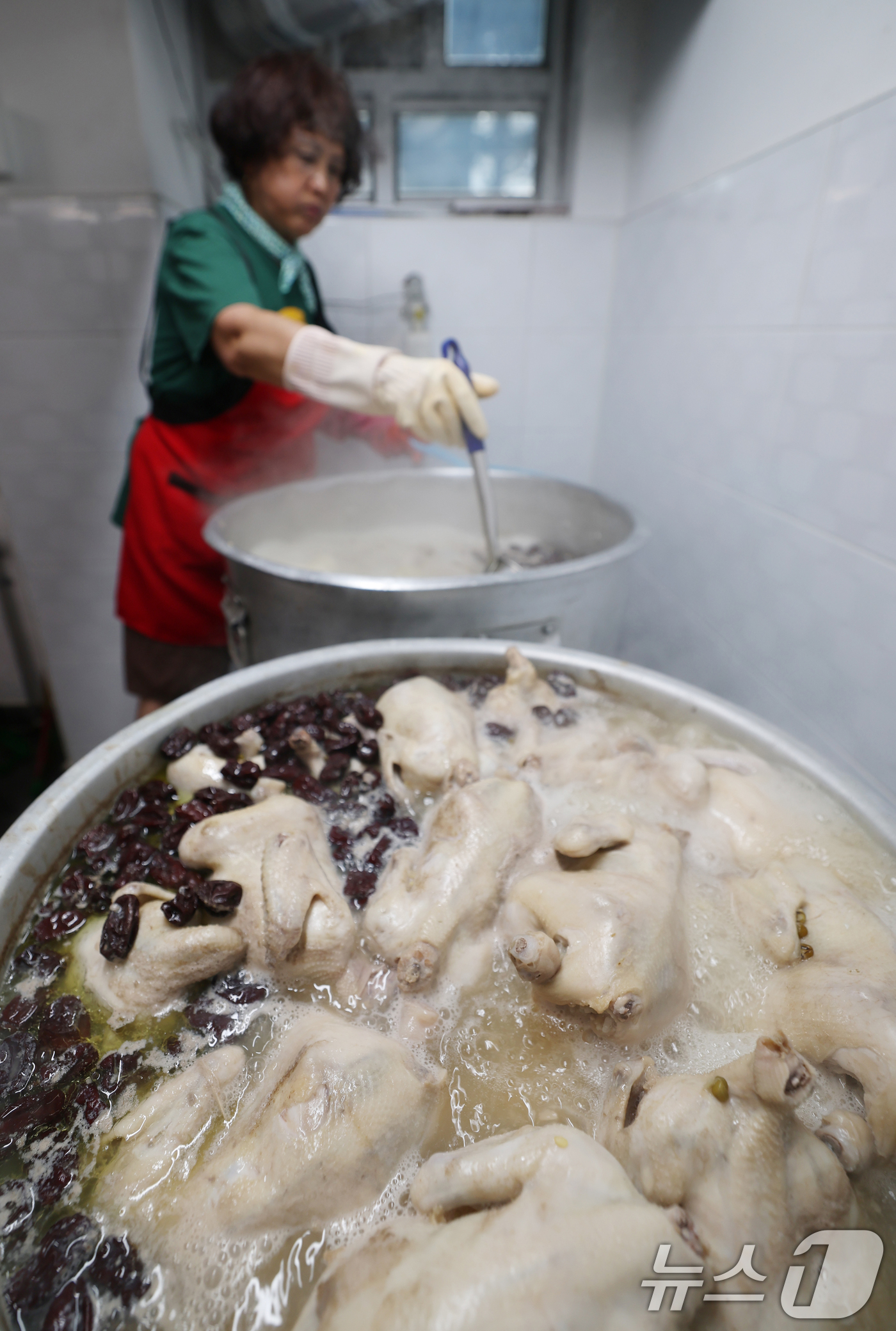 (수원=뉴스1) 김영운 기자 = 초복을 닷새 앞둔 15일 오전 경기 수원시 권선구 권선1동행정복지센터에서 새마을부녀회원들이 관내 어르신들께 전달할 삼계탕을 만들고 있다. 2025. …