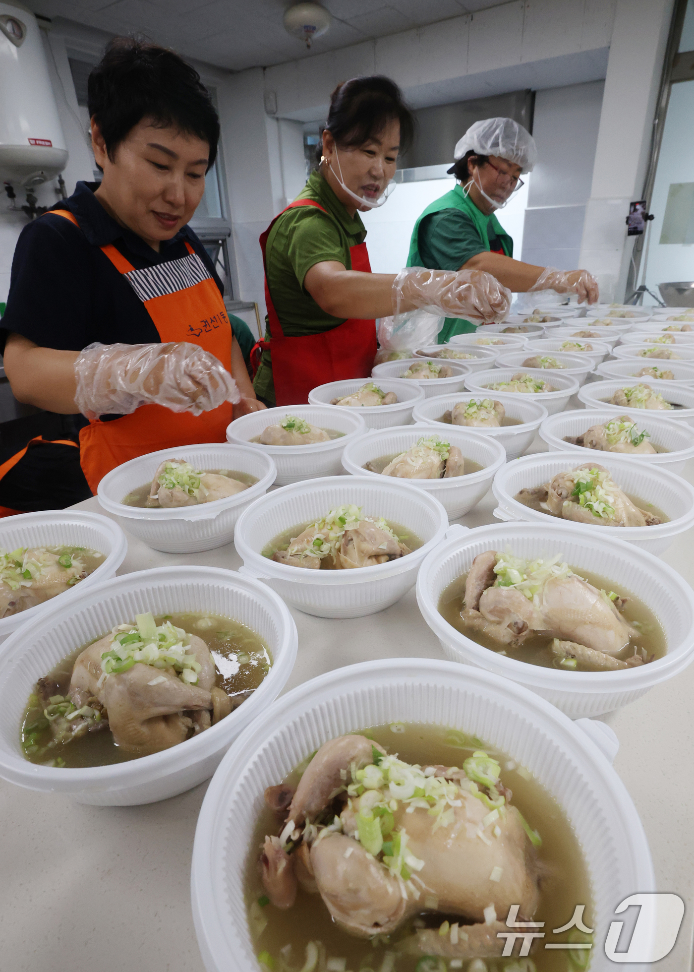(수원=뉴스1) 김영운 기자 = 초복을 닷새 앞둔 15일 오전 경기 수원시 권선구 권선1동행정복지센터에서 새마을부녀회원들이 관내 어르신들께 전달할 삼계탕을 만들고 있다. 2025. …