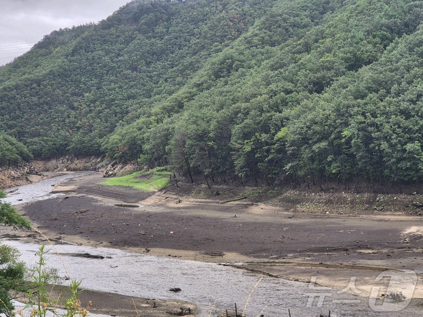 본문 이미지 - 최근 가뭄이 심각한 강릉시 성산면 오봉리 오봉저수지 일대.&#40;뉴스1 DB&#41; ⓒ News1 윤왕근 기자