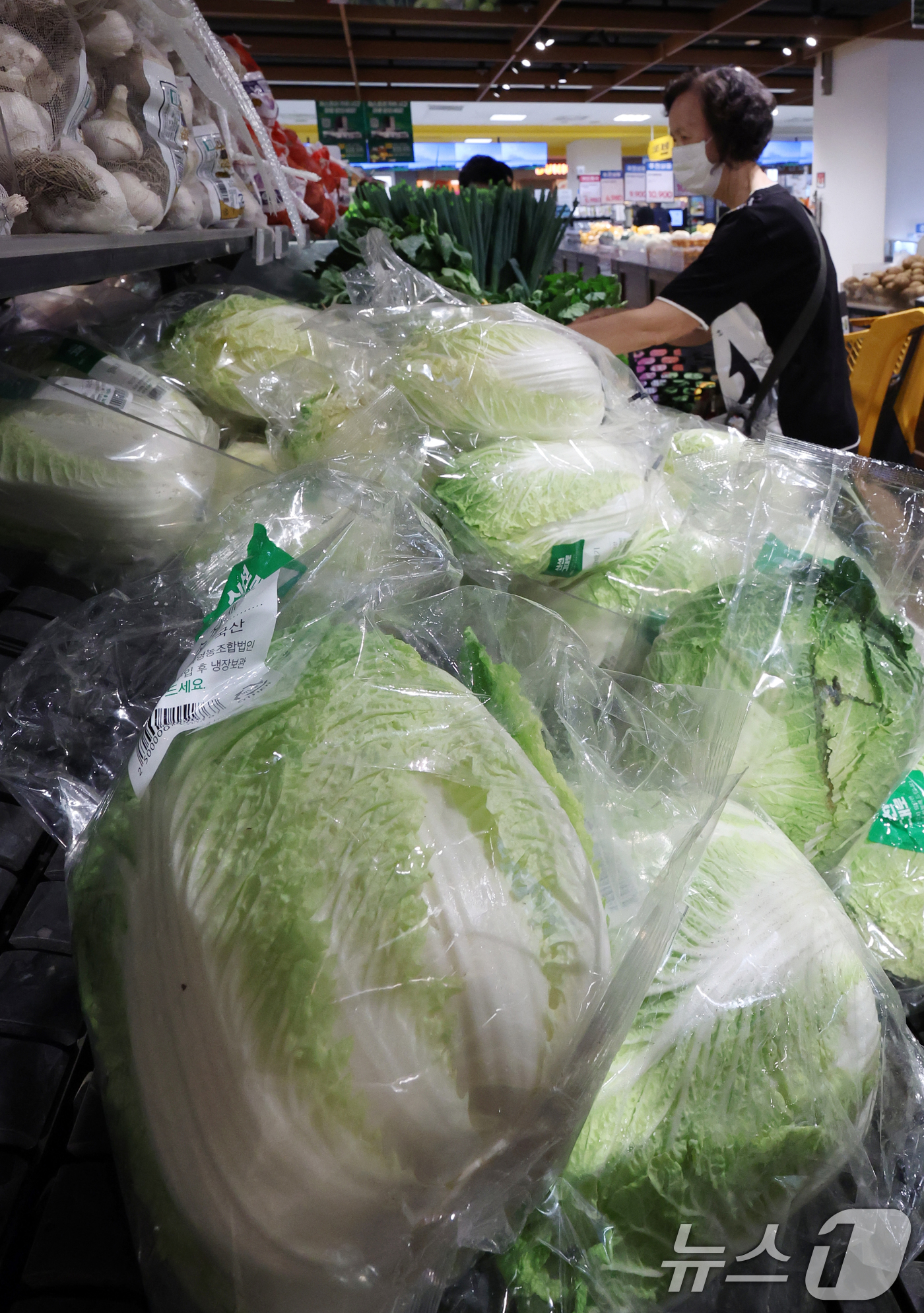 (서울=뉴스1) 김명섭 기자 = 올 여름 무더위가 일찍 찾아오면서 폭염으로 인해 농축산물 가격이 급등하고 있다. 최근 일주일새 수박 가격은 20% 넘게 오른 상황이다. 사진은 15 …