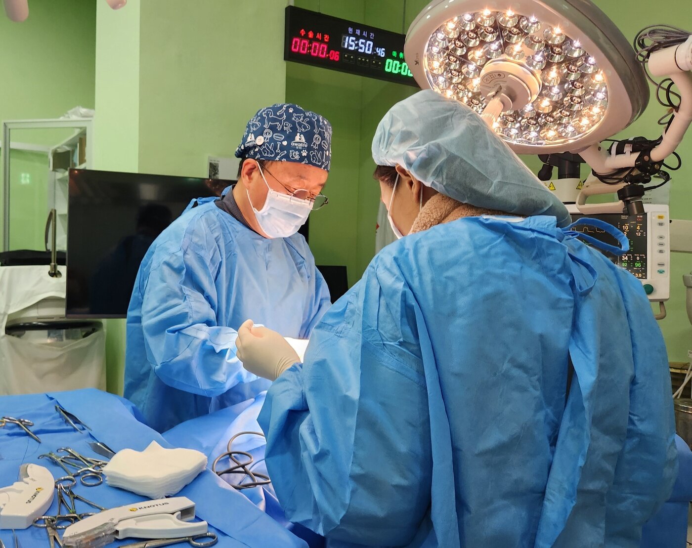 본문 이미지 - 수술하는 정인성 원장(사진은 기사 내용과 무관함) ⓒ 뉴스1 한송아 기자