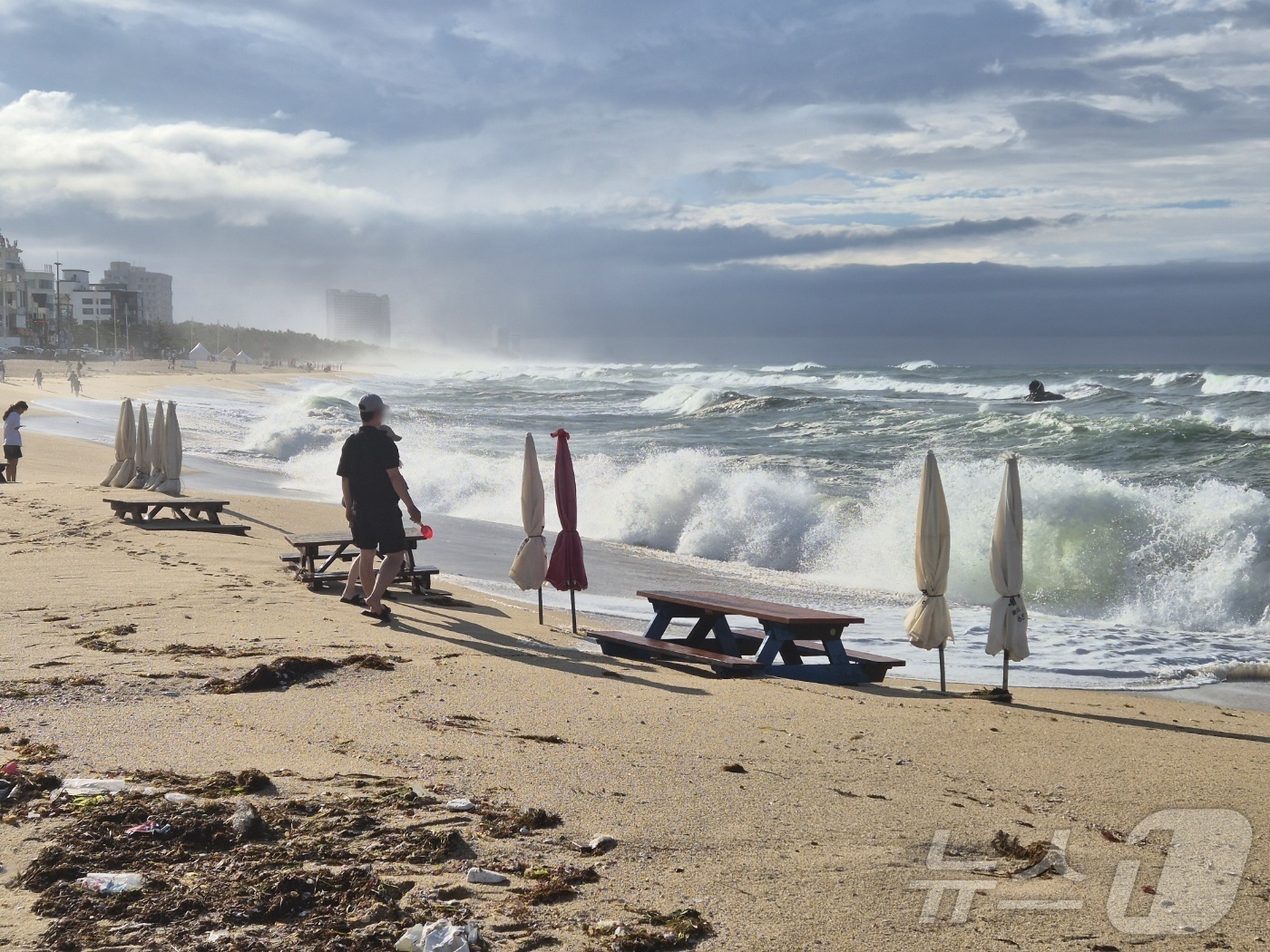 (강릉=뉴스1) 윤왕근 기자 = 15일 비가 그치고 날이 개인 강원 강릉 안목해변에 높은 파도가 일고 있다. 2025.7.15/뉴스1