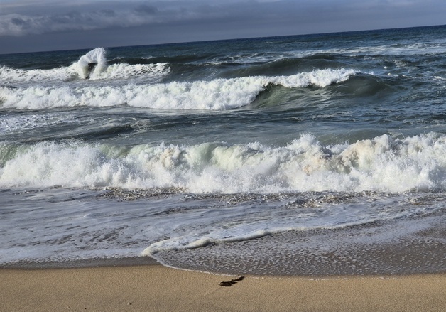 [오늘의 날씨] 강원(10일, 월)…산지 아침 -2도, 강풍 주의