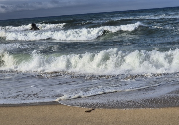 강릉해경, 동해중부해상 풍랑 예보에 '연안안전 주의보' 발령
