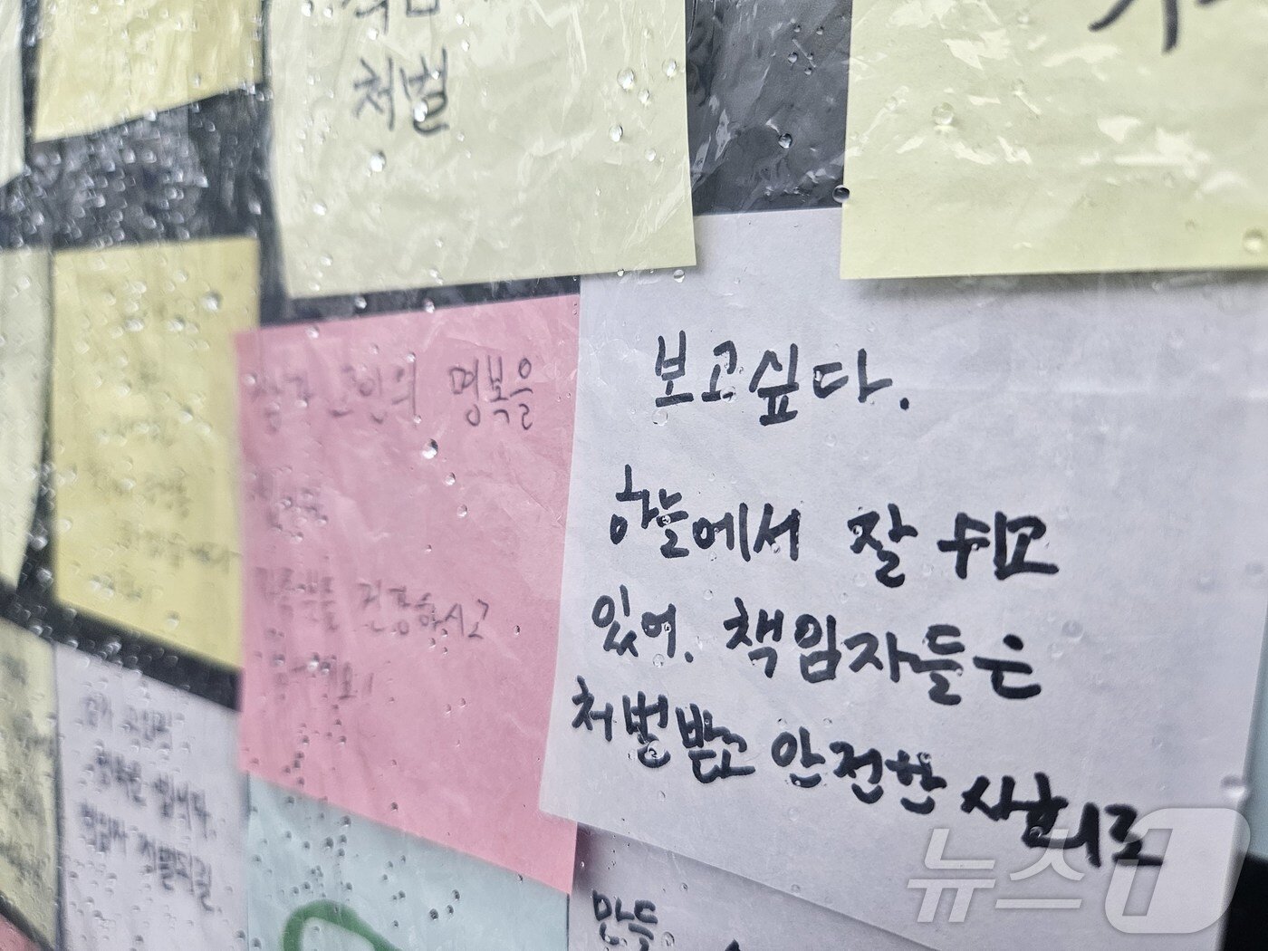 본문 이미지 - 오송참사 2주기 추모게시판에 붙은 메모. 해당 메모에는 &#34;보고싶다. 하늘에서 잘 쉬고 있어&#34;라는 메세지가 담겼다.2025.7.15/뉴스1 이재규 기자