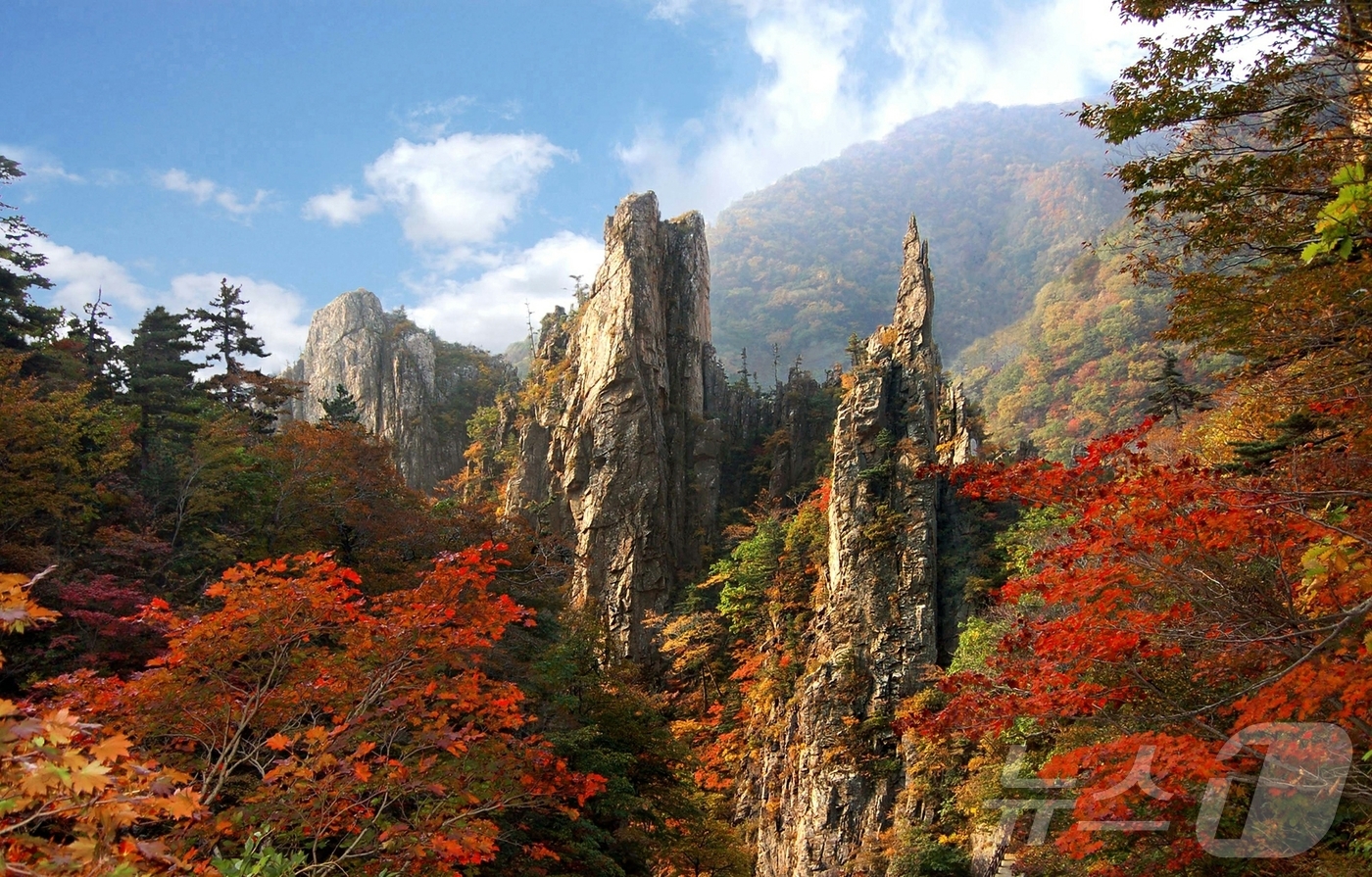 (평양 노동신문=뉴스1) = 북한 노동당 기관지 노동신문은 16일 "우리 나라의 명산 금강산이 세계문화 및 자연유산으로 등록됐다"고 보도했다. 신문은 이로써 "당의 주체적인 문화유 …