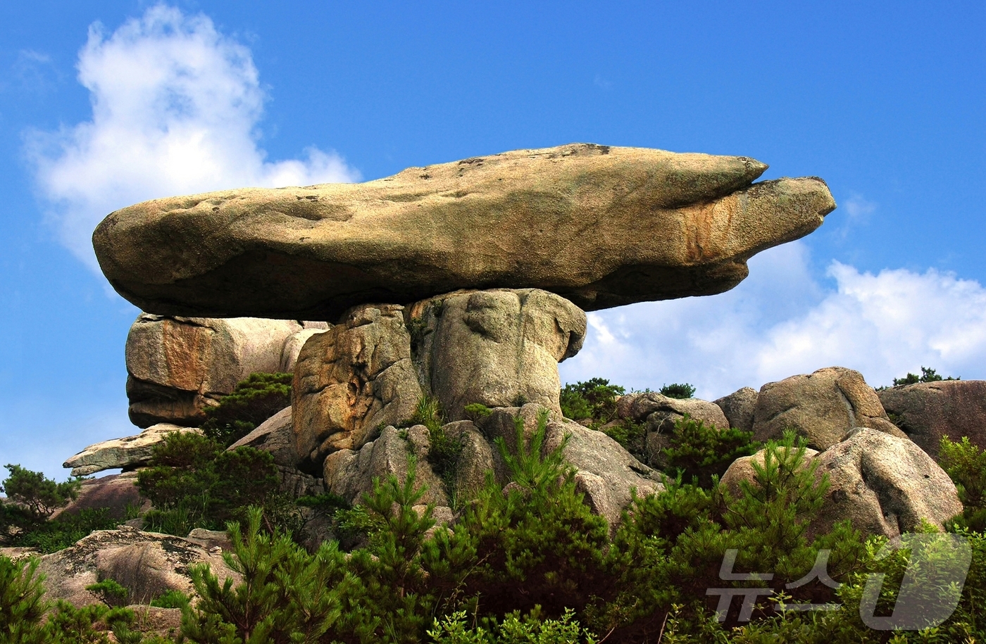 (평양 노동신문=뉴스1) = 북한 노동당 기관지 노동신문은 16일 "우리나라 명산 금강산이 세계문화 및 자연유산으로 등록됐다"면서 "당의 주체적인 문화유산보호정책의 정당성과 생활력 …