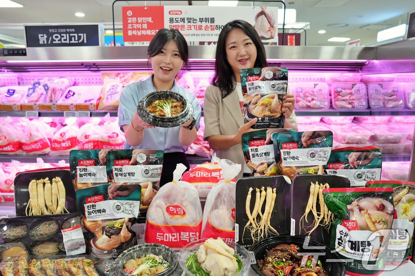 (서울=뉴스1) = 롯데마트는 초복을 맞아 오는 17일부터 삼계탕용 영계와 간편 보양식을 최대 반값 할인 판매한다고 16일 밝혔다.15일서울 송파구 롯데마트 제타플렉스 잠실점에서 …