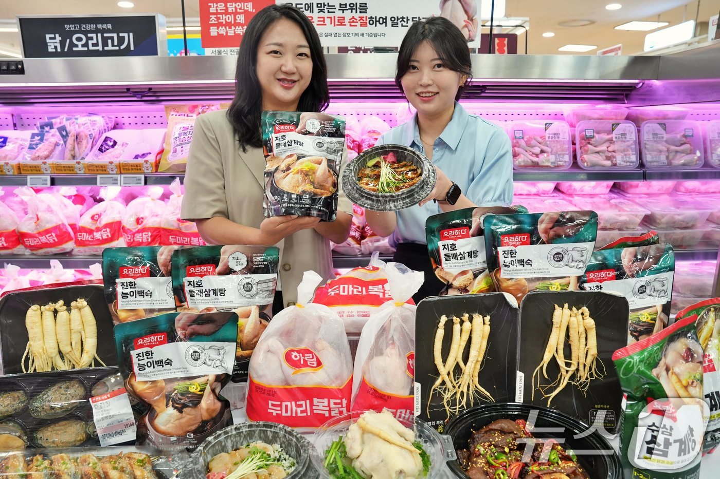 (서울=뉴스1) = 롯데마트는 초복을 맞아 오는 17일부터 삼계탕용 영계와 간편 보양식을 최대 반값 할인 판매한다고 16일 밝혔다.15일서울 송파구 롯데마트 제타플렉스 잠실점에서 …