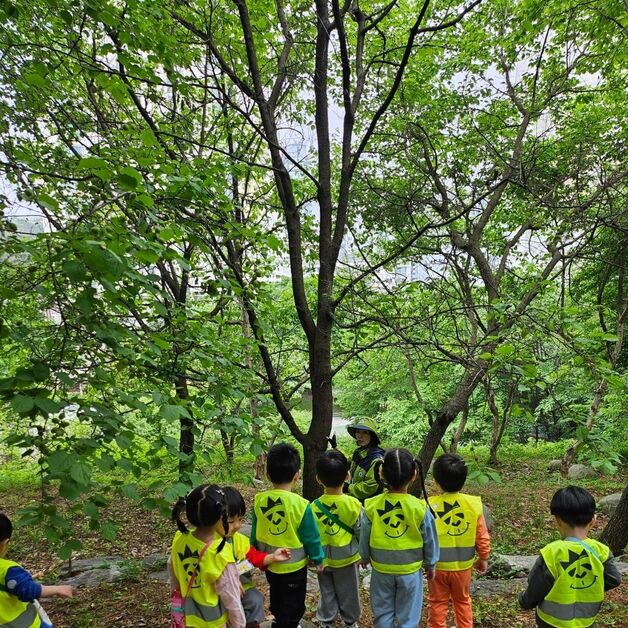 용인시, 하반기 '유아숲체험' 프로그램 참여기관 모집