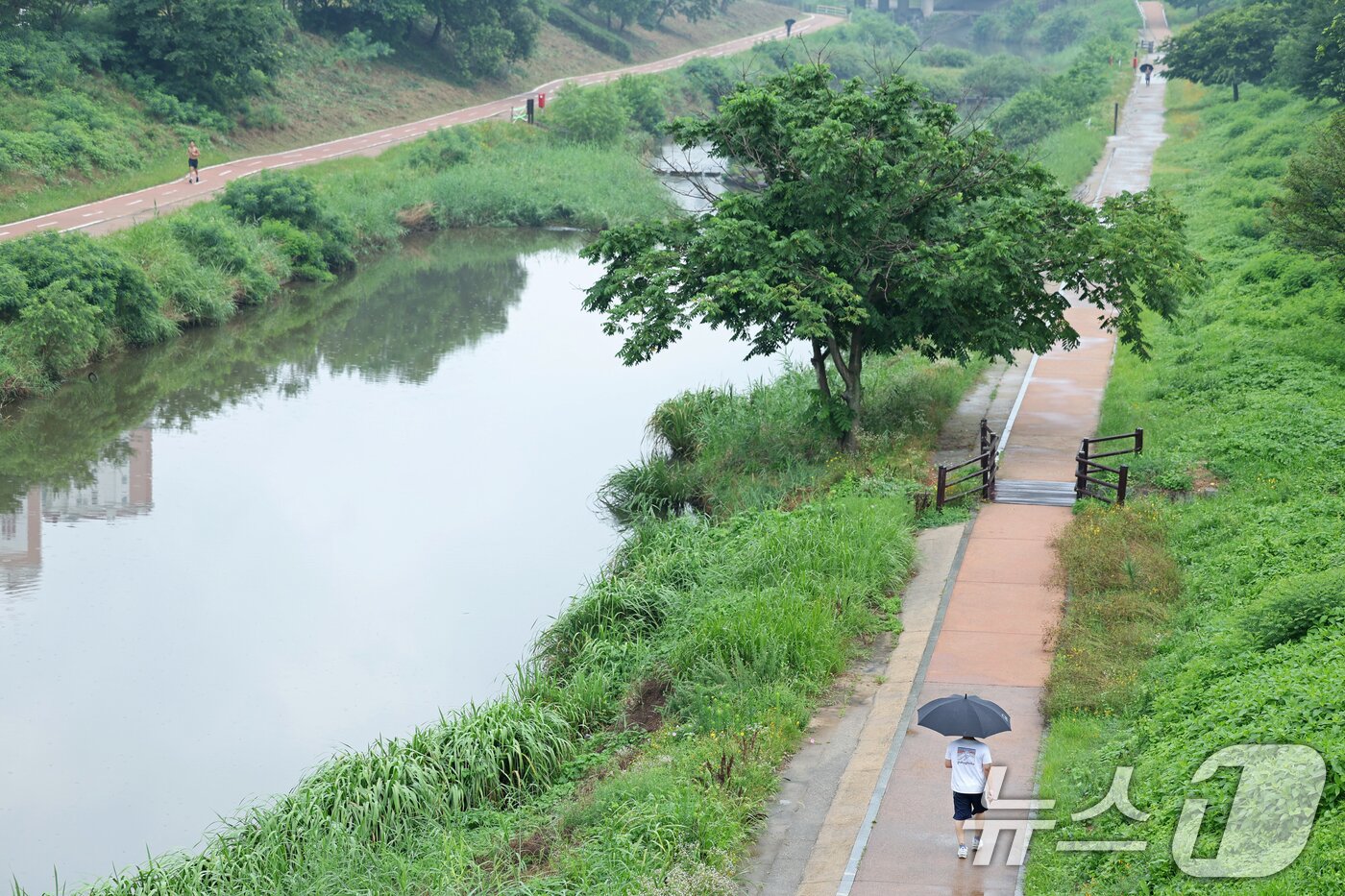 본문 이미지 - 비가 내리는 16일 오전 광주 광산구 풍영정천에서 시민들이 산책하고 있다. 2025.7.16/뉴스1 ⓒ News1 이승현 기자
