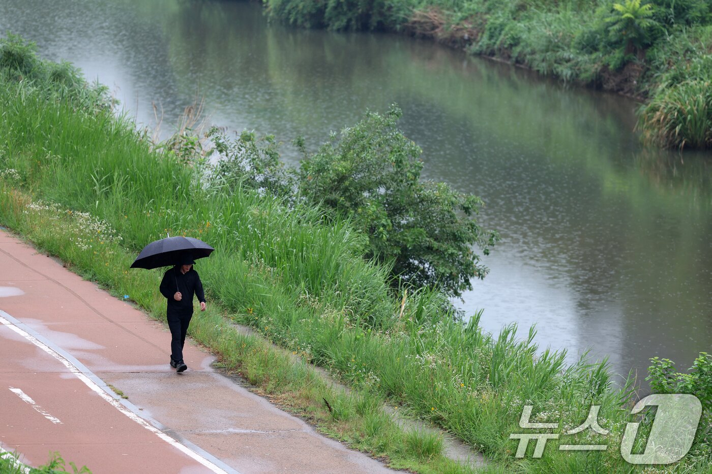 본문 이미지 - 비가 내리는 16일 오전 광주 광산구 풍영정천에서 시민들이 산책하고 있다. 2025.7.16/뉴스1 ⓒ News1 이승현 기자
